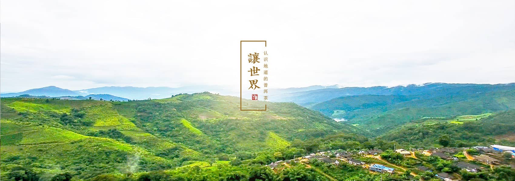 今大福普洱茶行情網(wǎng)